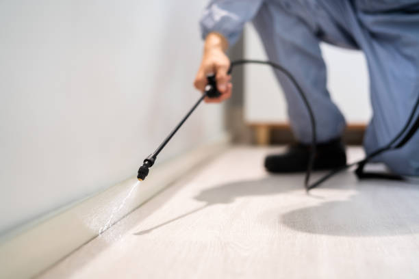 Bed Bug Pre-Treatment Preparation Assessment in Hopewell