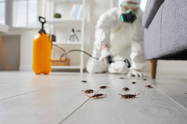 Post-Treatment Bed Bug Interceptor Monitoring in Hopewell