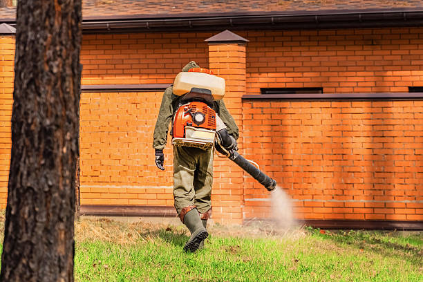 Bed Bug Clearance Verification and Documentation in Hopewell